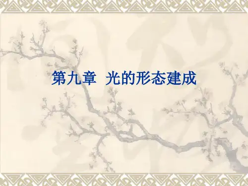 《植物生理学》课件 第九章  光的形态建