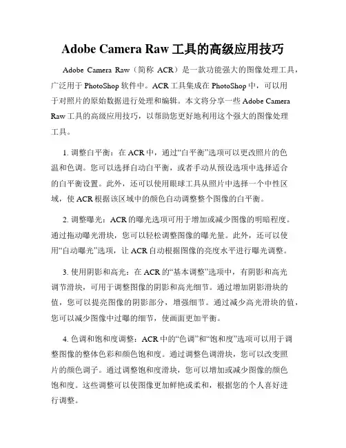 Adobe Camera Raw工具的高级应用技巧