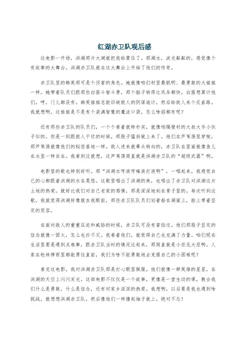 红湖赤卫队观后感