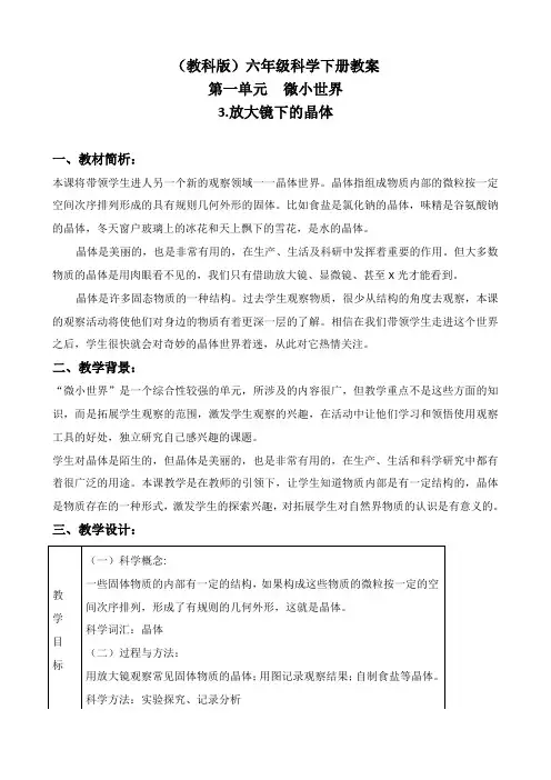 教科版六年级下册科学《放大镜下的晶体》教学设计