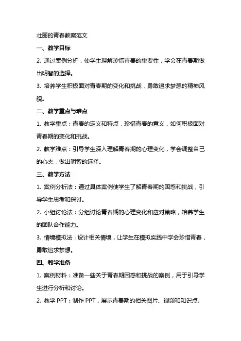 壮丽的青春教案范文