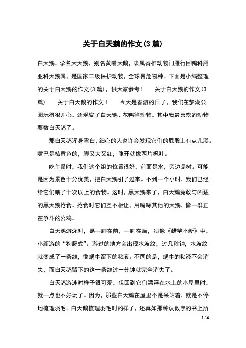 关于白天鹅的作文(3篇)