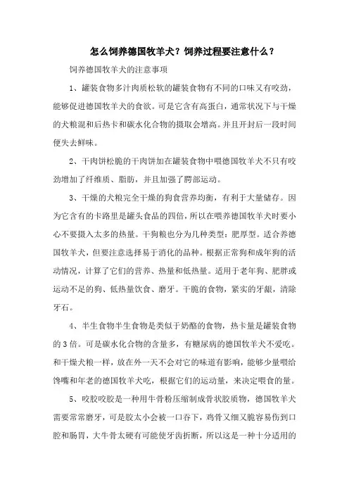 怎么饲养德国牧羊犬？饲养过程要注意什么？