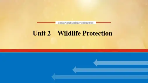 高中英语高考必修二 Unit 2 Wildlife Protection 课件