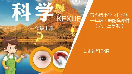 青岛版科学一年级上册1.《走进科学课》教学课件