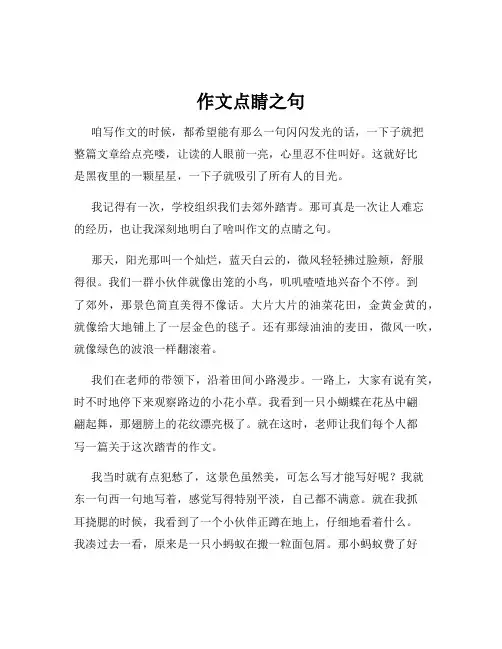 作文点睛之句