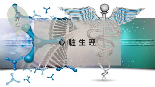 心 脏 生 理