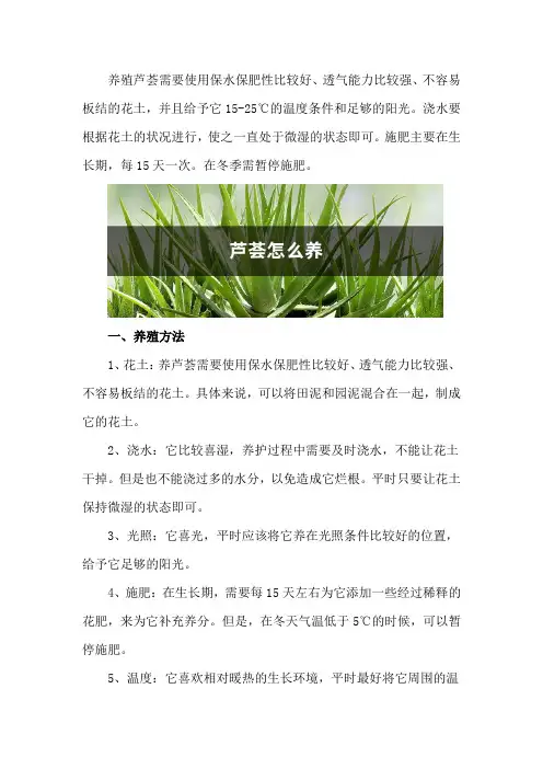 芦荟怎么养_2