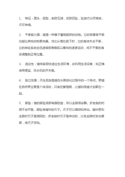 小猫的介绍和特点