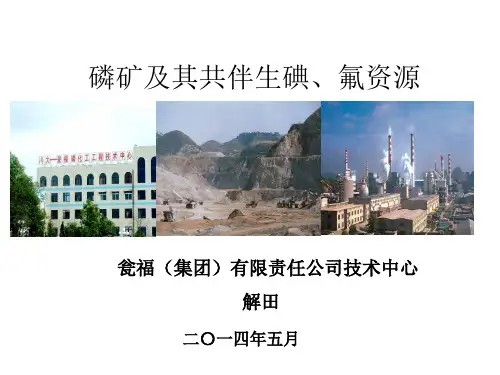 磷矿及其伴生氟碘资源汇总