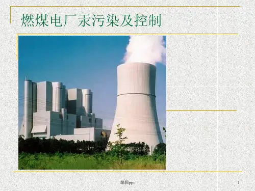 燃煤电厂汞污染及控制