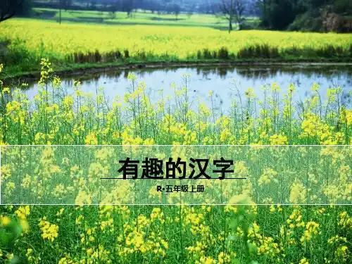 (赛课课件)人教版五年级上册语文《有趣的汉字.(共33张PPT)