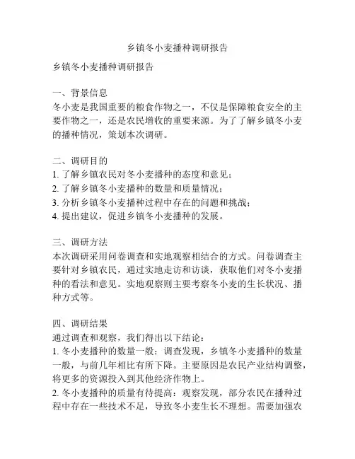 乡镇冬小麦播种调研报告