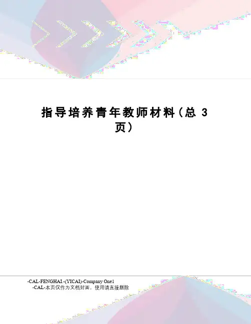 指导培养青年教师材料