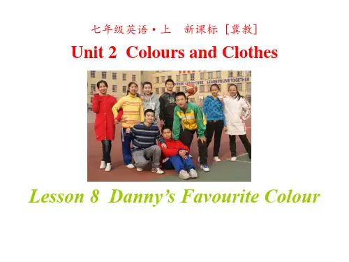 冀教版七年级英语上册 (Danny's Favourite Colour)Colours and C