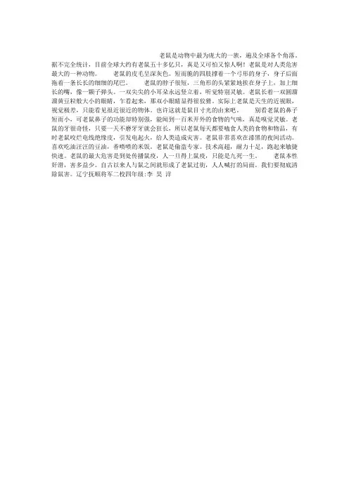 老鼠作文500字