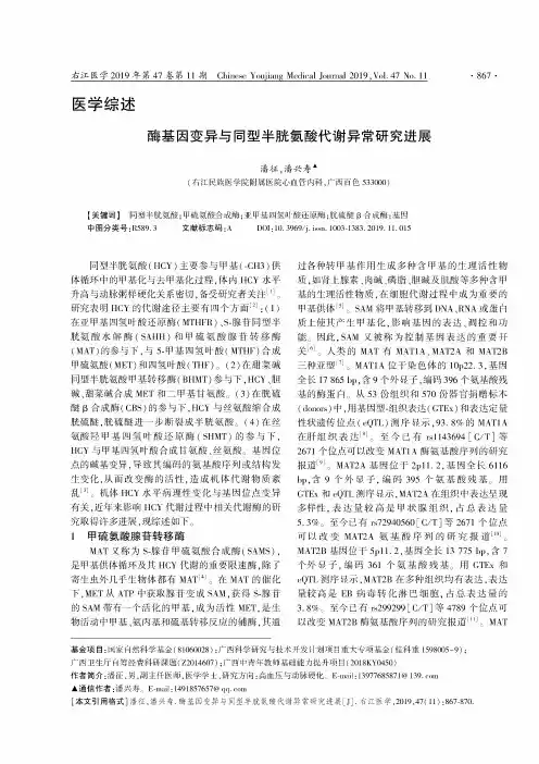 酶基因变异与同型半胱氨酸代谢异常研究进展