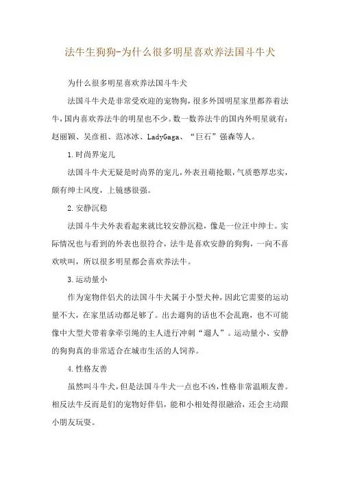 法牛生狗狗-为什么很多明星喜欢养法国斗牛犬
