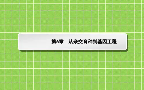 2013《师说》高三生物一轮复习课件2.6从杂交育种到基因工程