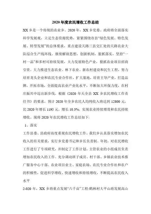 2020年度农民增收工作总结