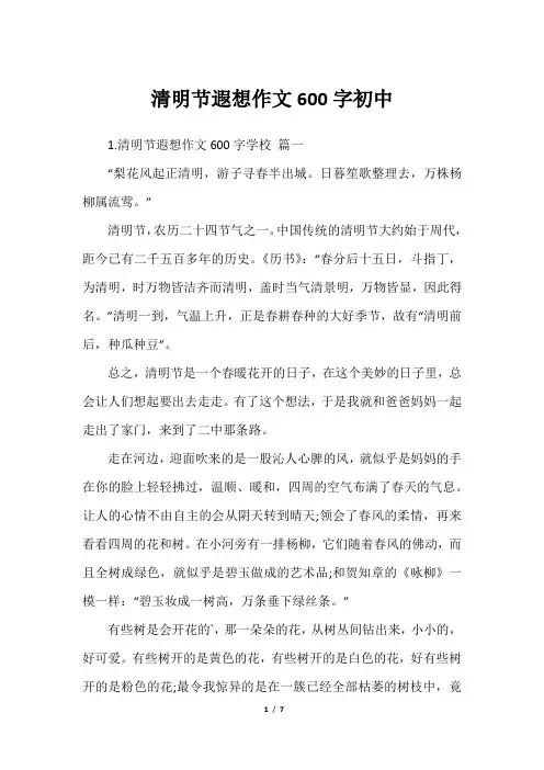 清明节遐想作文600字初中