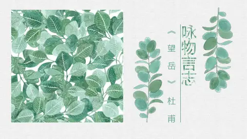人教部编版七年级下册第五单元第20课古代诗歌五首《望岳》 (共27张PPT)