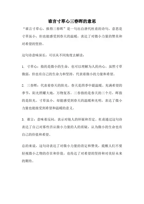 谁言寸草心三春晖的意思