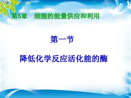 人教版生物必修一5.1降低化学反应活化能的酶(共75张PPT)[优秀课件资料]