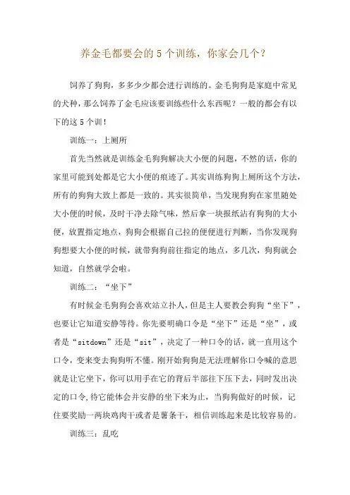 养金毛都要会的5个训练,你家会几个？