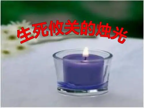 北师大小学五年级语文上册《生死攸关的烛光》课件