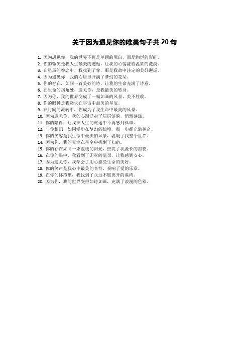 关于因为遇见你的唯美句子