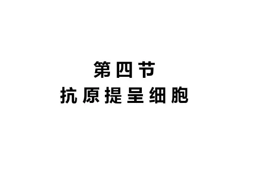 APC及抗原提呈