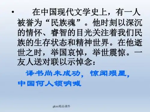 《记念刘和珍君》课件1(49张PPT)(苏教版必修5)