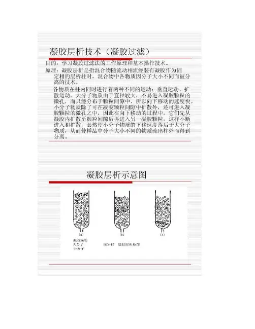 凝胶层析技术(凝胶过滤).