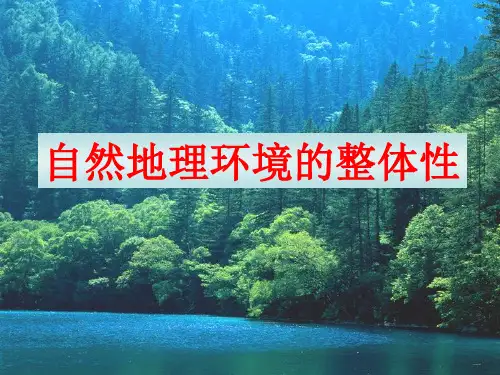 高三地理第一轮复习自然地理环境的整体性ppt课件