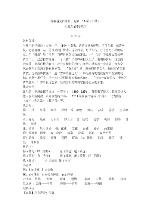 部编版四年级语文下册第11课《白桦》知识点+同步练习 