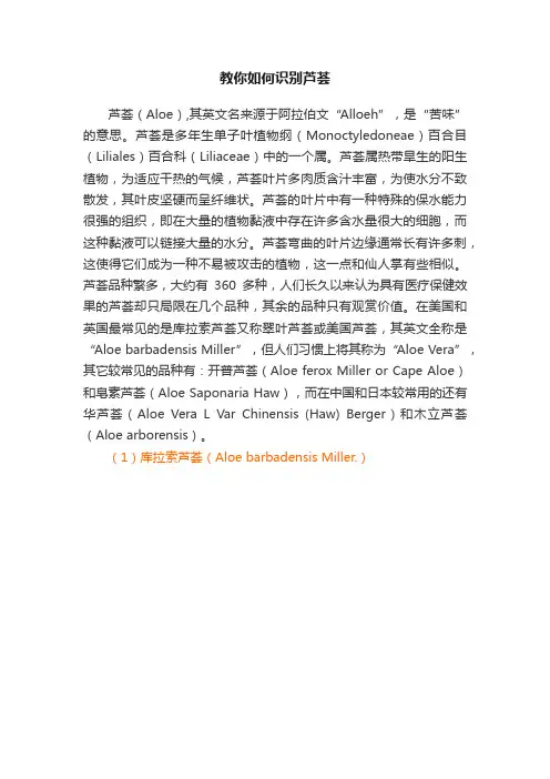 教你如何识别芦荟