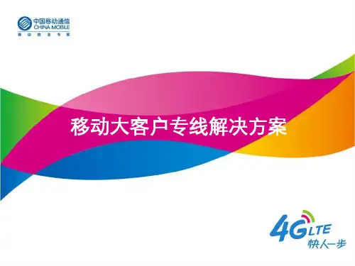 移动客户接入工程组网方案介绍资料