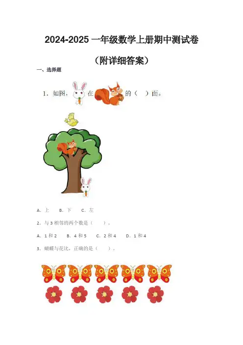 2024-2025一年级数学上册期中测试卷(附详细答案解析)