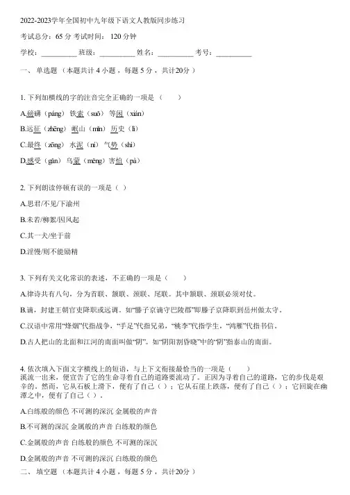 2022-2023学年全国初中九年级下语文人教版同步练习(含答案解析)031628