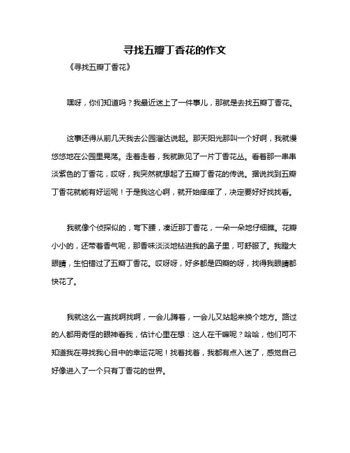 寻找五瓣丁香花的作文