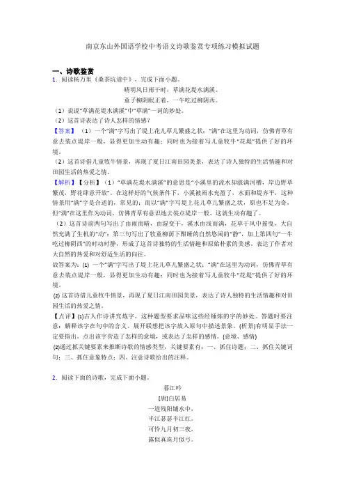 南京东山外国语学校中考语文诗歌鉴赏专项练习模拟试题