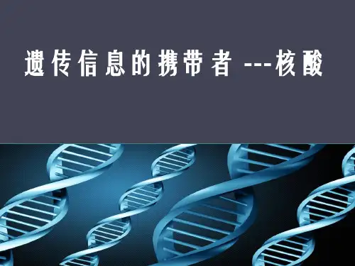 高中生物必修一课件2.3.1遗传信息的携带者-核酸