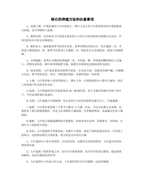 络石的养殖方法和注意事项