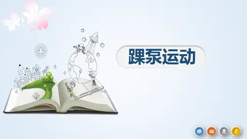 踝泵运动.pptx  