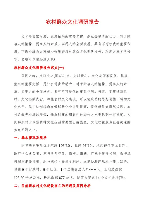农村群众文化调研报告