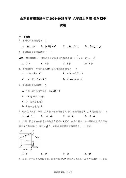 山东省枣庄市滕州市2024-2025学年八年级上学期数学期中试题