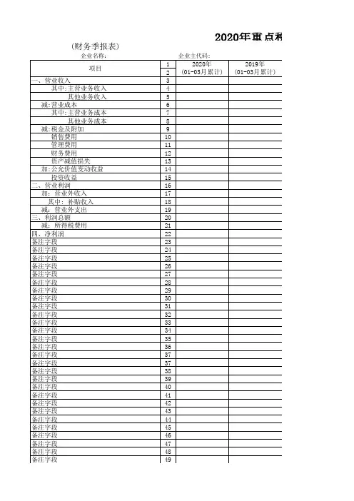2020年重点税源企业财务信息(季报)表