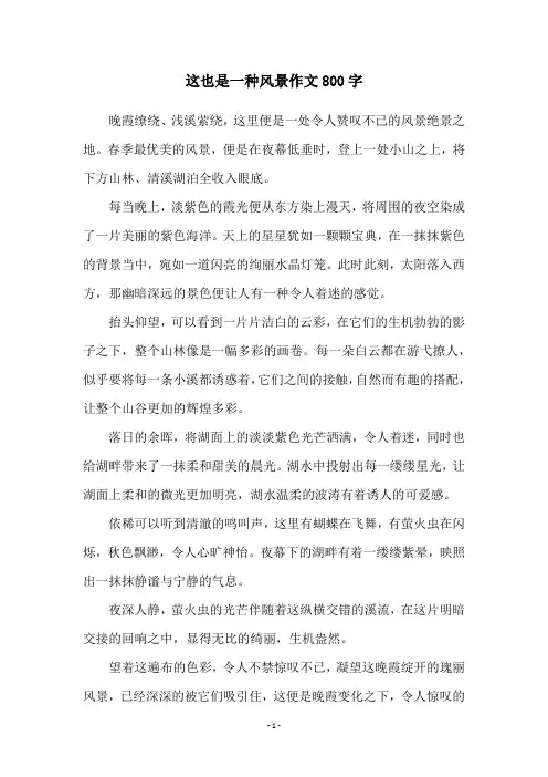 这也是一种风景作文800字