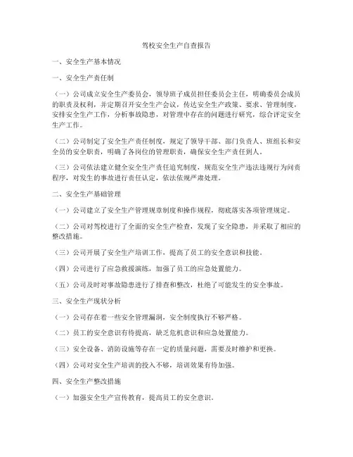 驾校安全生产自查报告